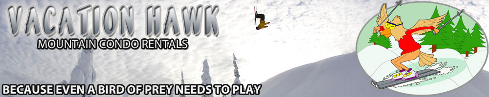 Mountain Condo Rentals