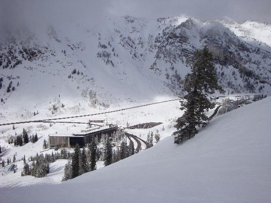 Cliff Club at Snowbird Aerial - Mountain Condo Rentals